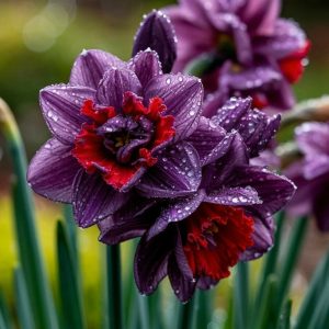 Нарцисс Минт Флер купить по цене от 2000р. в интернет-магазине «Посадика» с доставкой почтой в в Новотроицке и по всей России – [изображение №1].