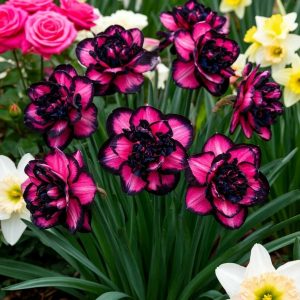 Нарцисс Золотая Корона купить по цене от 2000р. в интернет-магазине «Посадика» с доставкой почтой в в Новотроицке и по всей России – [изображение №1].